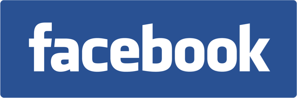 Facebook Logo Block